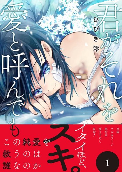 『君がそれを愛と呼んでも』コミックス 第①巻 ひびき澪